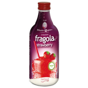 Fresa Master granizado Natfood