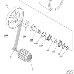Correa POLY V1549 J61 20 N Carpigiani
